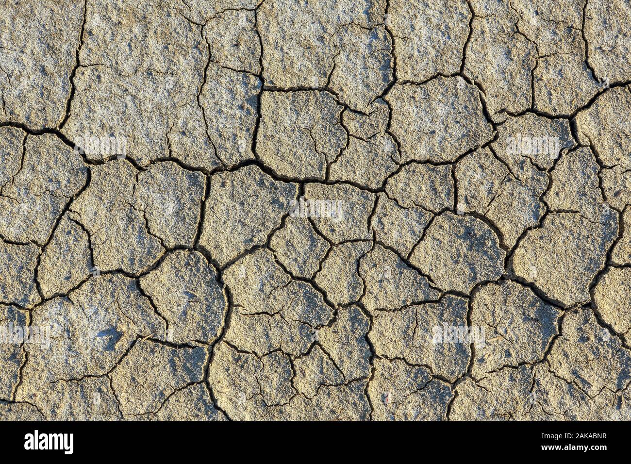Cracked clay texture, background Stock Photo