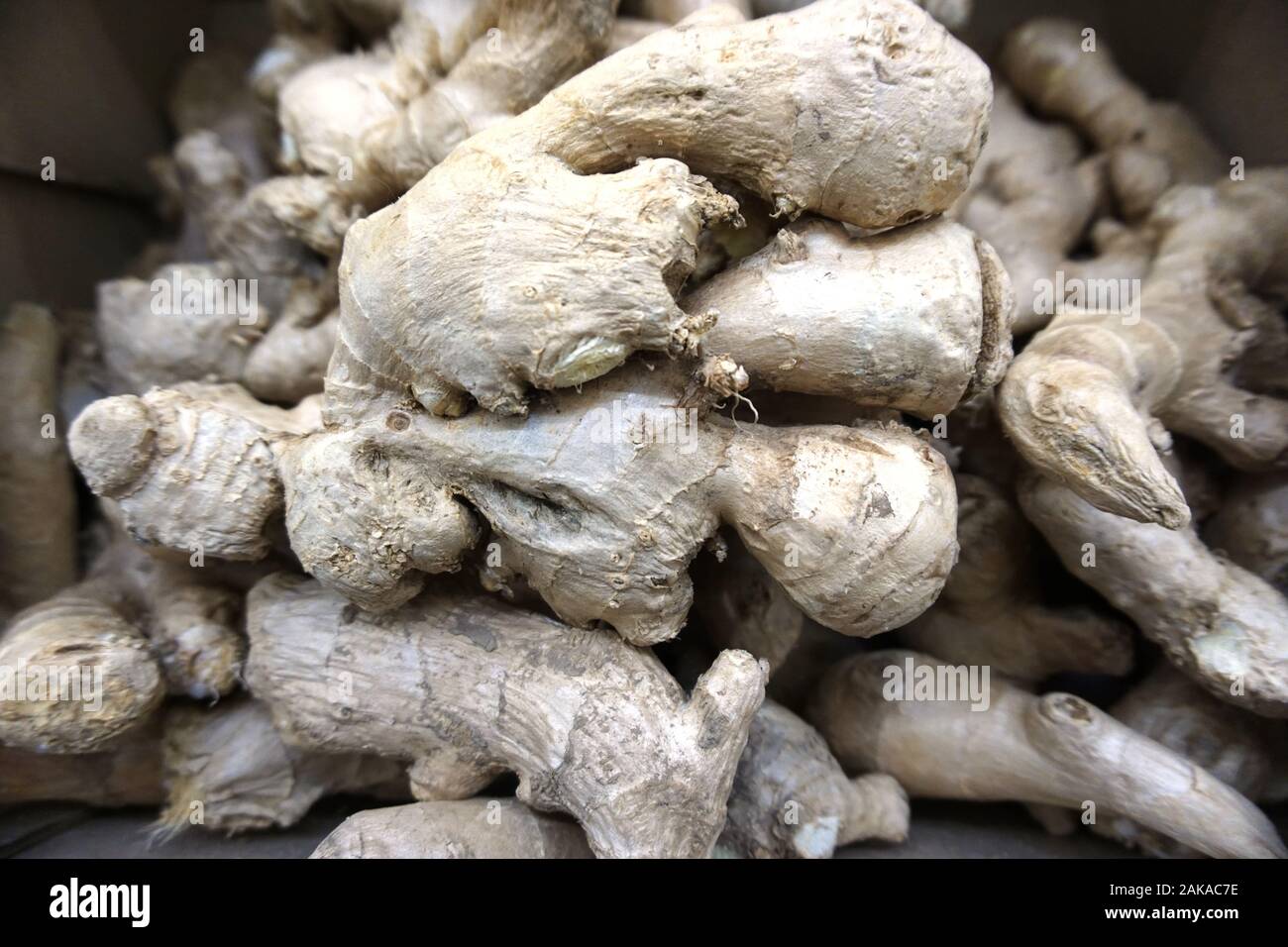 fresh ginger root vegetables Stock Photo Alamy