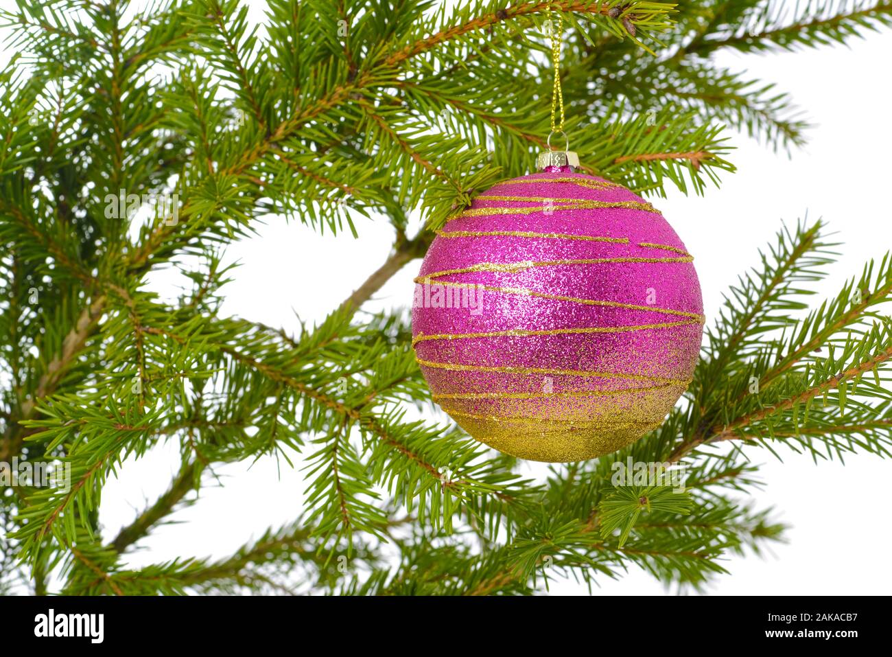 Pink Christmas tree toy on green treel branch isolated white background ...