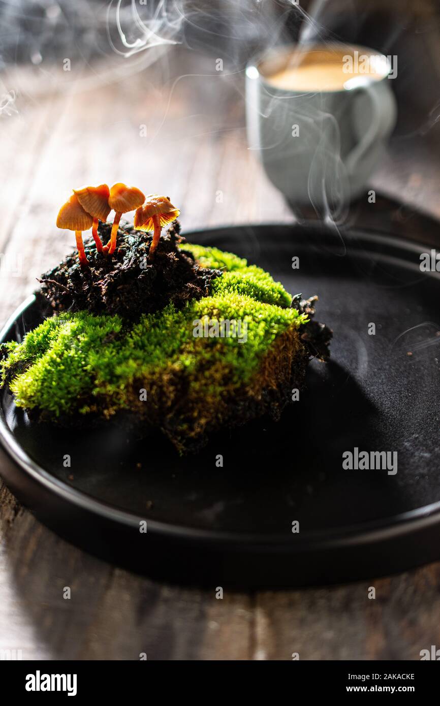 Poisonous mushrooms.Decoration made of mushrooms forest moss.Delicious breakfast coffee and food. Stock Photo