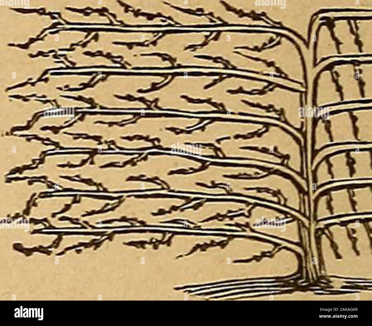 The drag dictionary hires stock photography and images Alamy