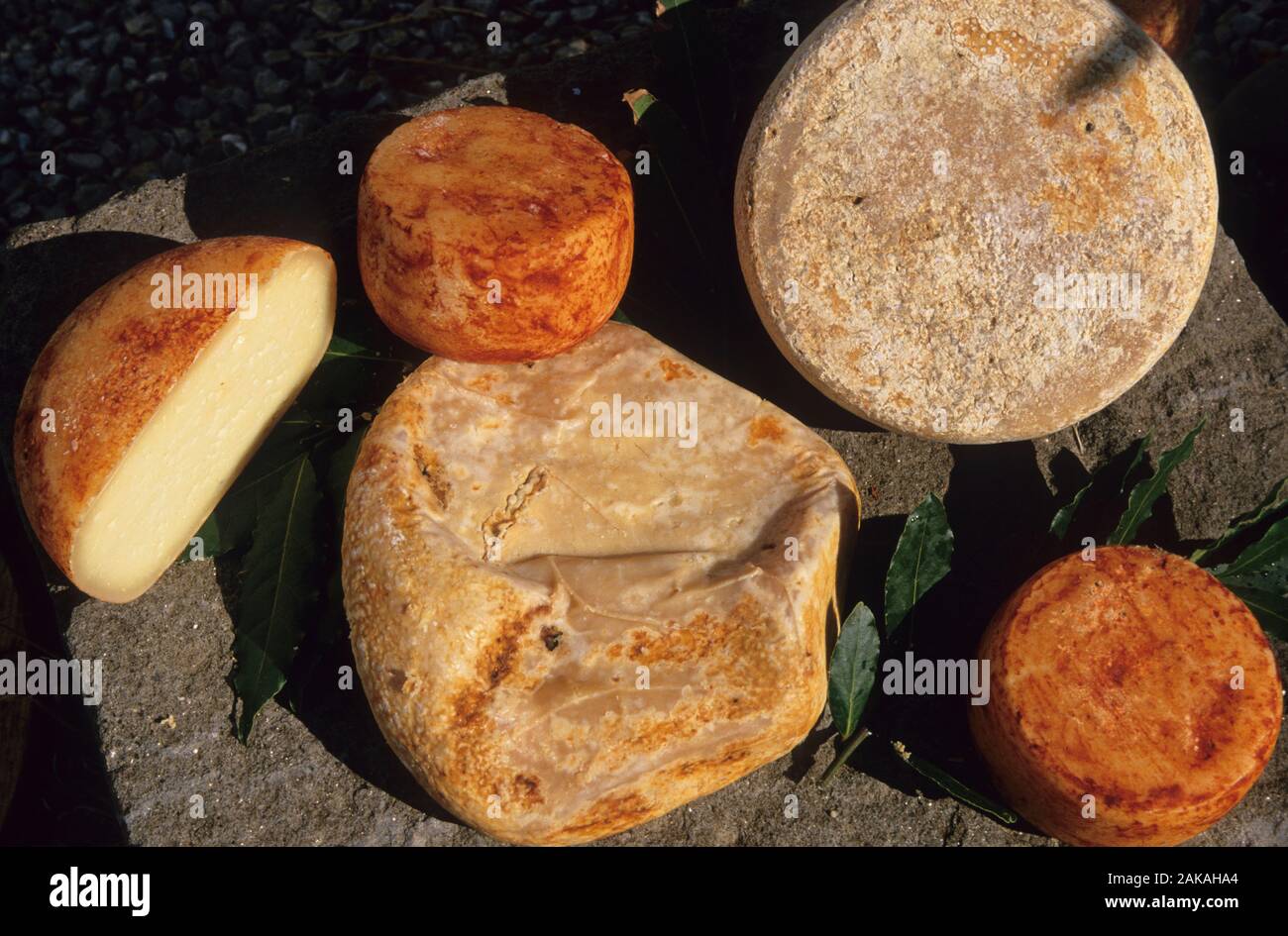 typical cheeses, tuscany Stock Photo Alamy