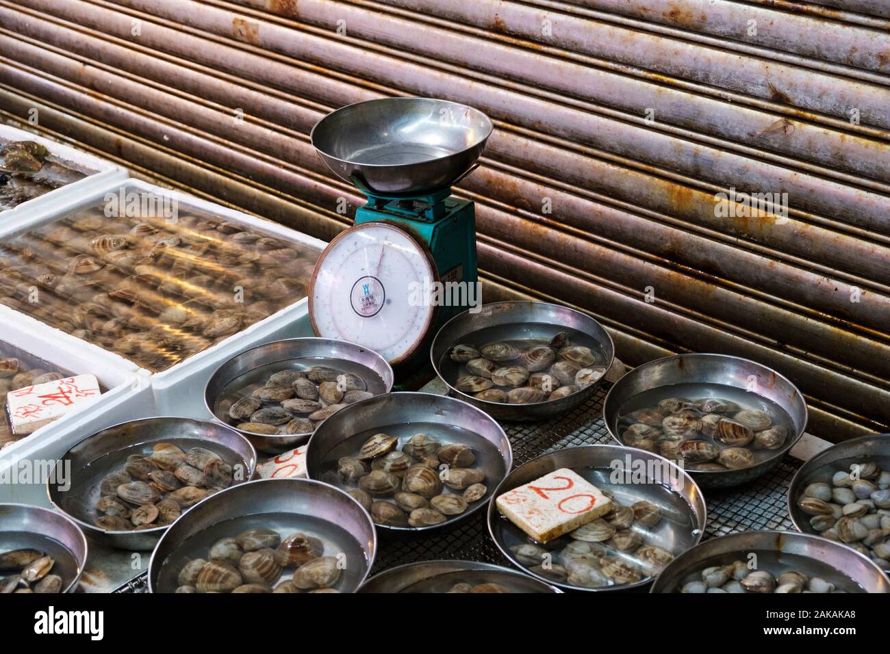 clams on seafood market, clams on fish market Stock Photo Alamy
