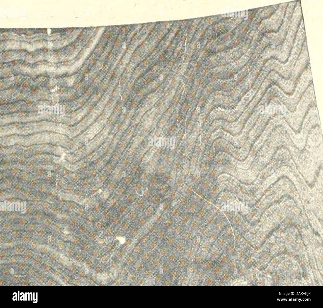 Canadian Wood Products Industries Alnut Veneers We Specialize In