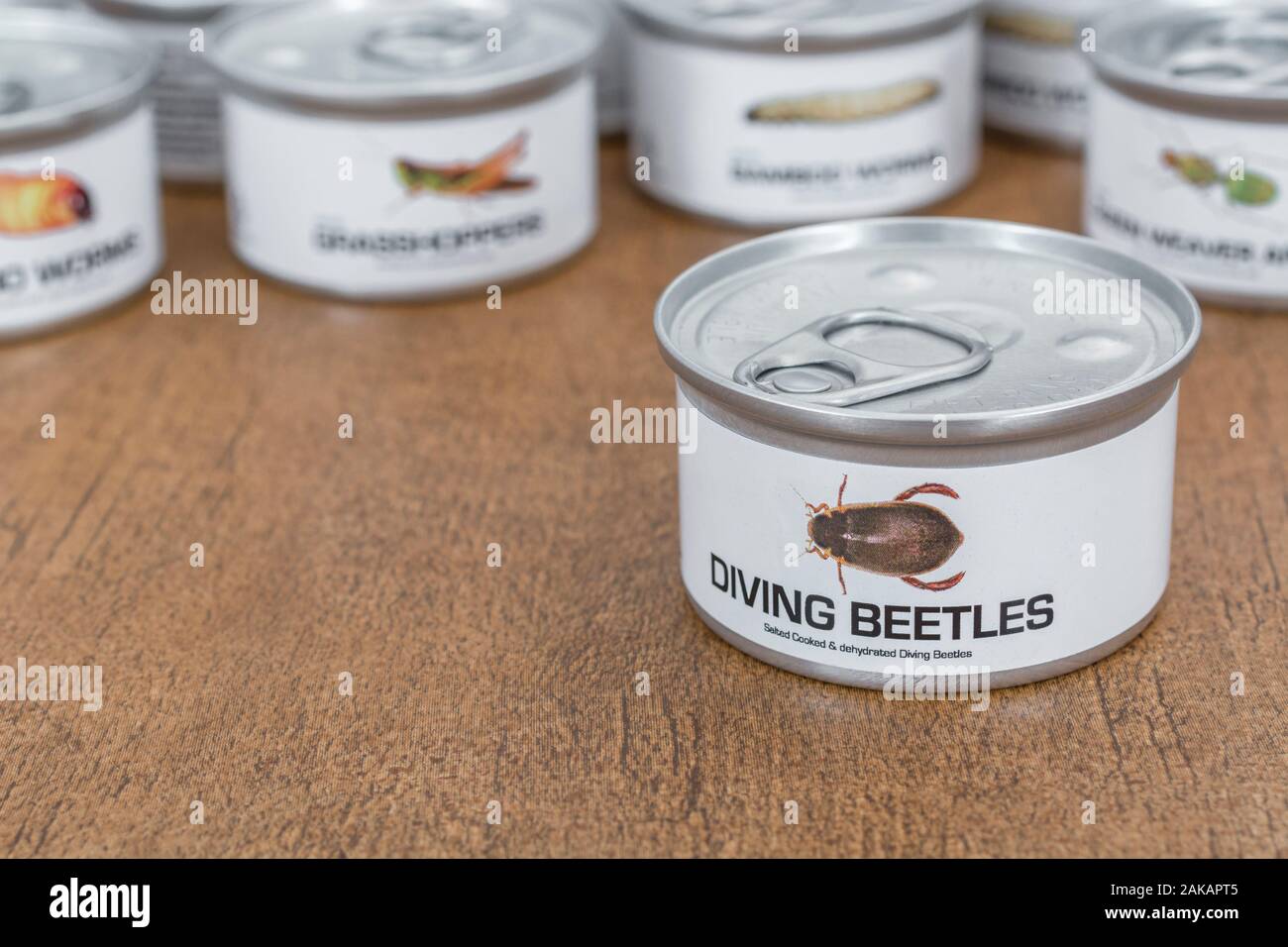 Tin of edible insects / novelty food - Diving Beetles / Dytiscus species. Concept insects as human food, entomophagy, eating bugs insects, edible bugs Stock Photo