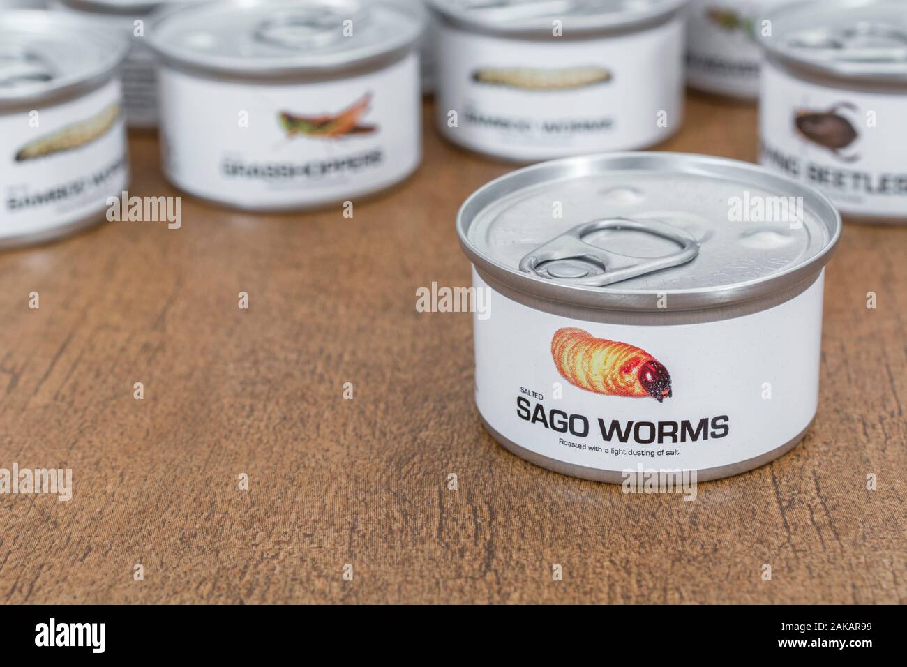Tin of edible insects / novelty food Sago Worms / Rhyncophorus