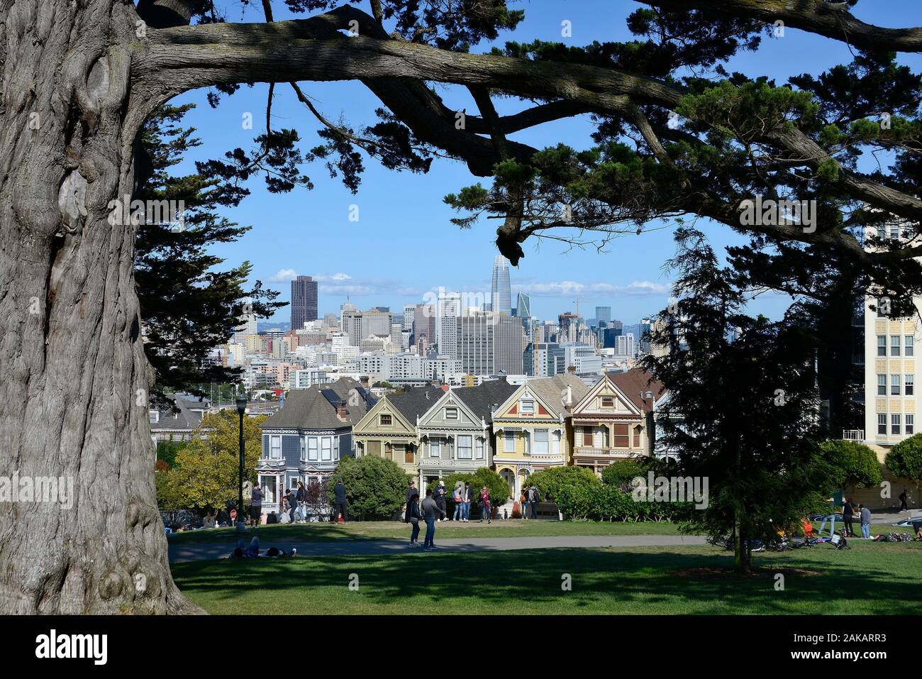 Painted Ladies, victorian row of houses on Alamo Square with downtown skyline in the background, San Francisco, California, USA Stock Photo