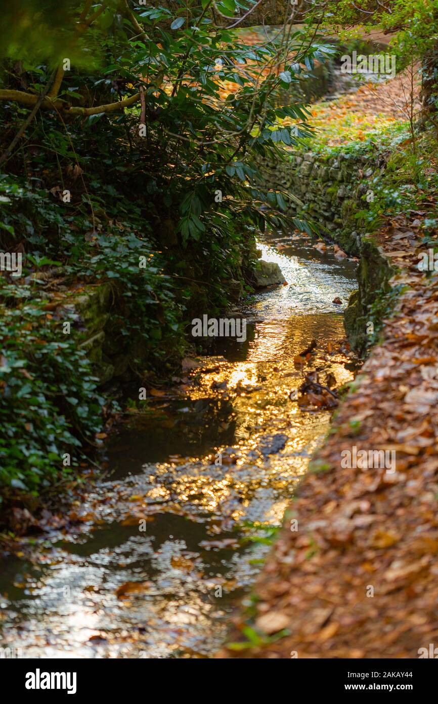 Colour photograph with selective narrow focus of stone-lined stream twisting along Branksome chine woods and gardens in Autumn, taken in Poole Stock Photo