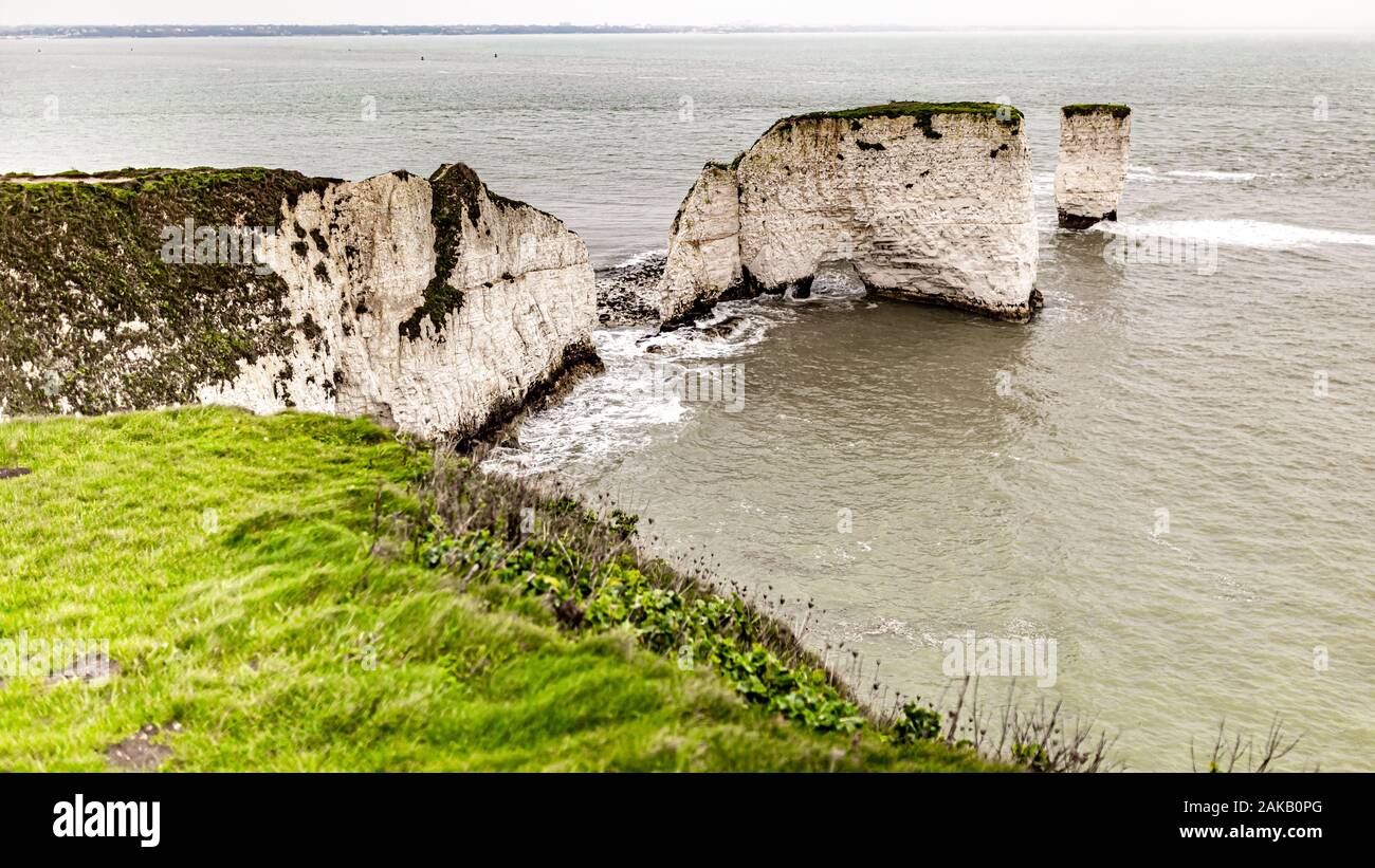 Chalk cliff line of Old Harry Rocks and wife taken on dull winters day, Purbeck, Dorset, England, United Kingdom Stock Photo
