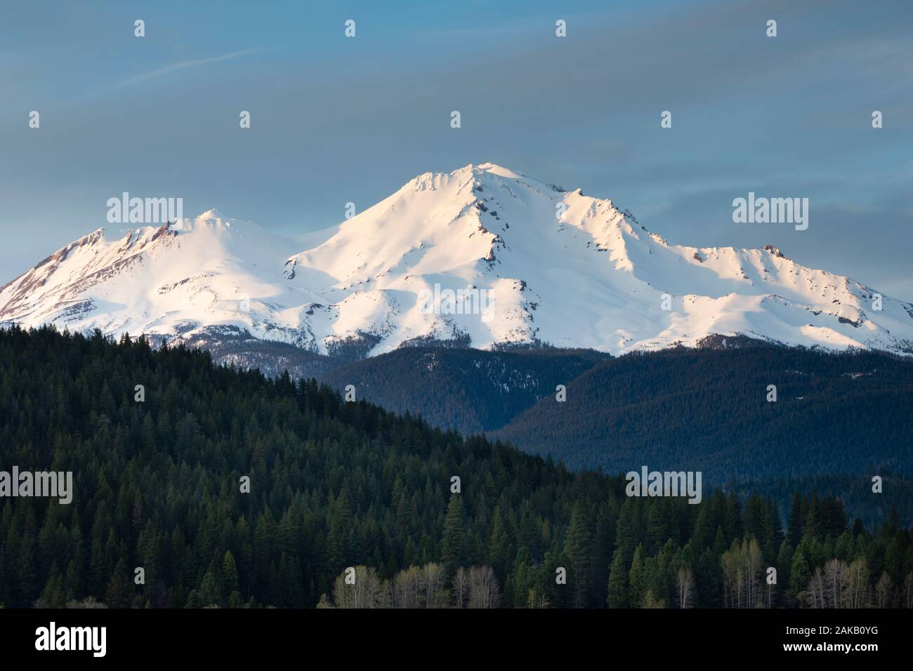 View of Mount Shasta, Siskiyou County, California, USA Stock Photo