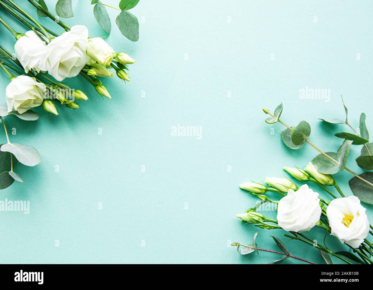 White eustoma and eucalyptus on a light green background. Wedding  invitation in minimalist style with eustoma Stock Photo - Alamy