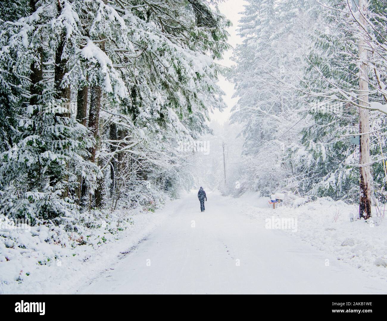 Bainbridge island landscape hires stock photography and images Alamy