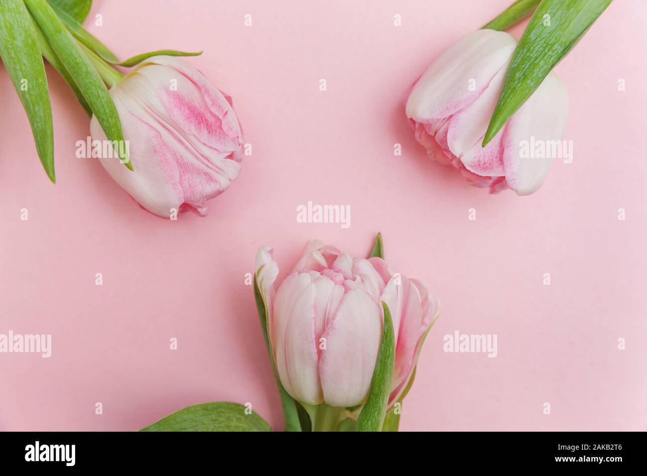 Happy Anniversary Flowers Stock Photos Happy Anniversary Flowers