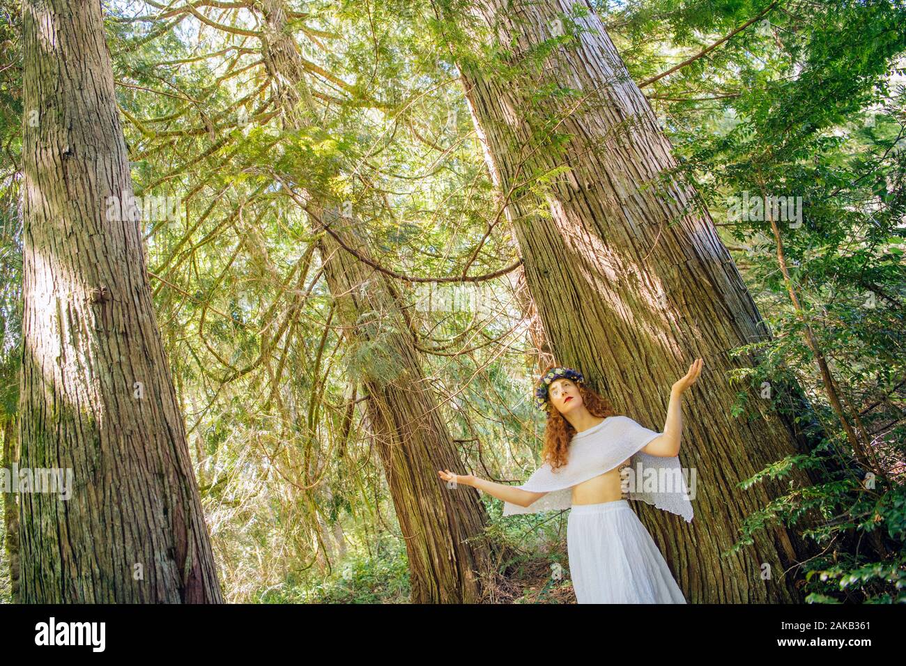 Woman with flower standing in forest,  Bainbridge Island, Washington State, USA Stock Photo