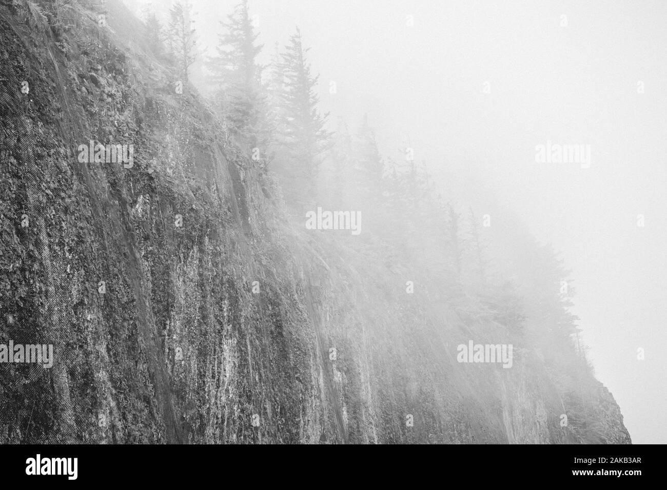 View of cliff and trees,  Columbia River Gorge, Oregon, USA Stock Photo