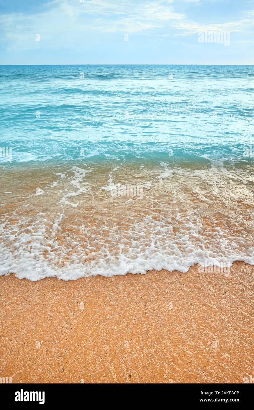 wallpapers Natural Beach Background Photos https www alamy com picture of an empty beach natural background image338919627 html