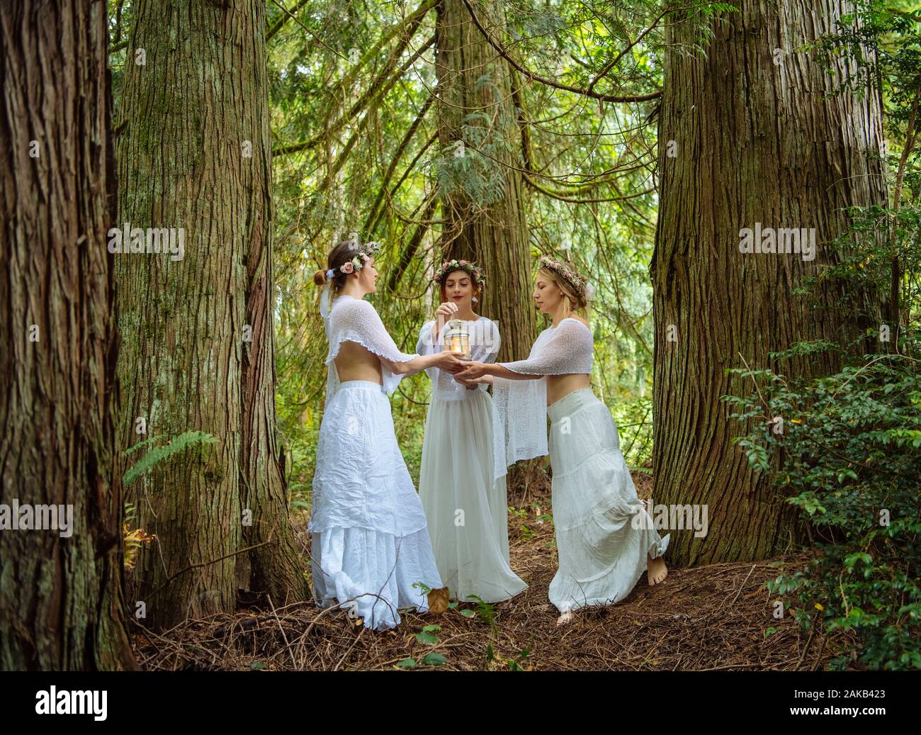 Three women in floral crowns holding lantern in forest, Bainbridge Island, Washington State, USA Stock Photo