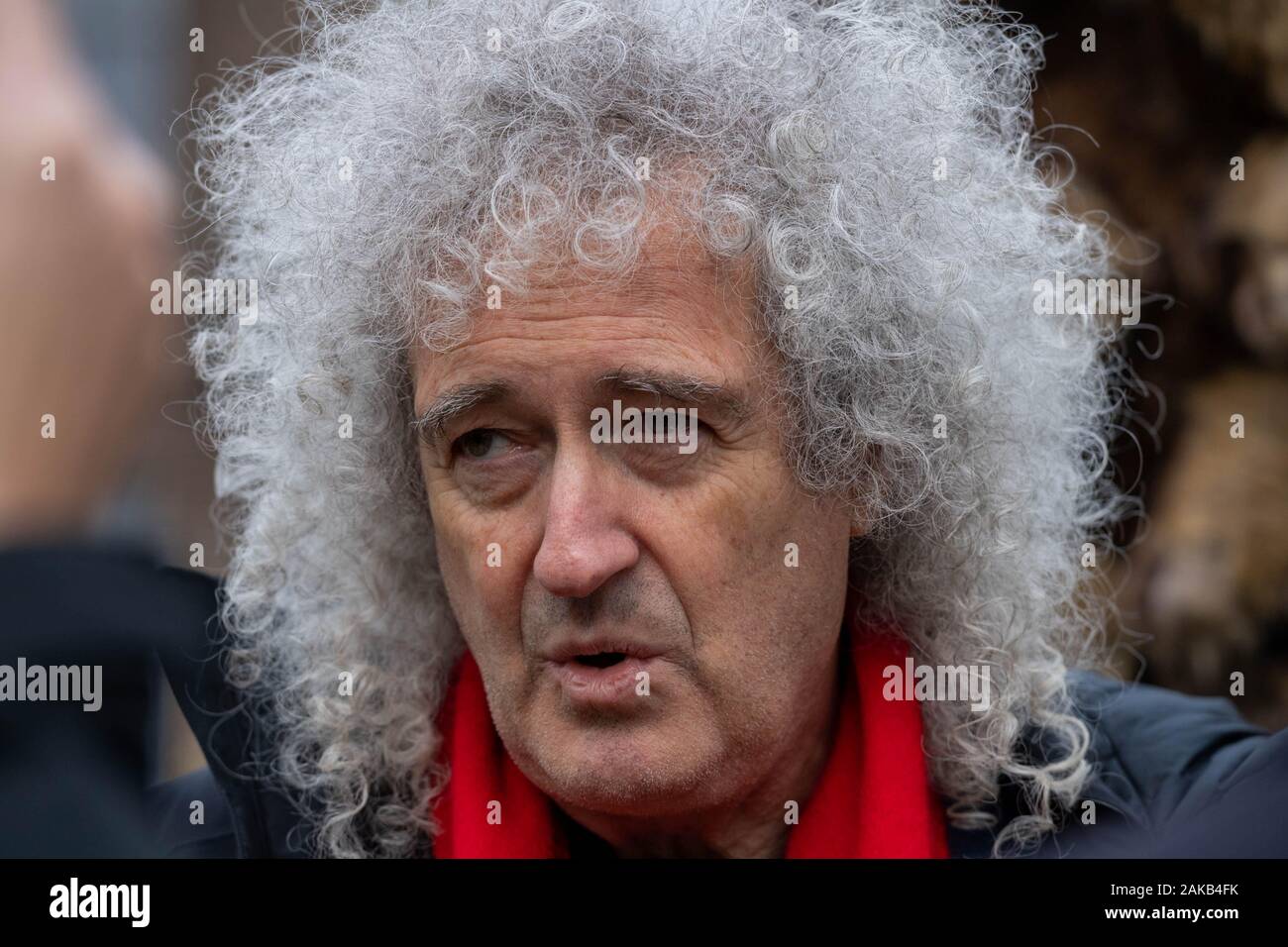 London UK 8th Jan. 2020 Dr Brian May (pictured) and Tracy Crouch MP (Hedge Honcho)  outside the Houses of Parliament, London UK to publicise Project Amazing Grace to help save Britain's  declining hedgehog population.  Amazing Grace, is a collaboration between the Dr Brian May's Save Me Trust, Harper Asprey Wildlife Rescue and the British Hedgehog Preservation Society, is fighting the declining population of hedgehogs in the UK Pictured Dr Brian May Credit Ian DavidsonAlamy Live News Stock Photo