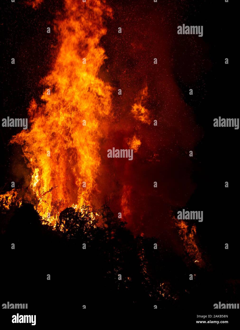 burning evergreen trees produce tall yellow and orange flames, and