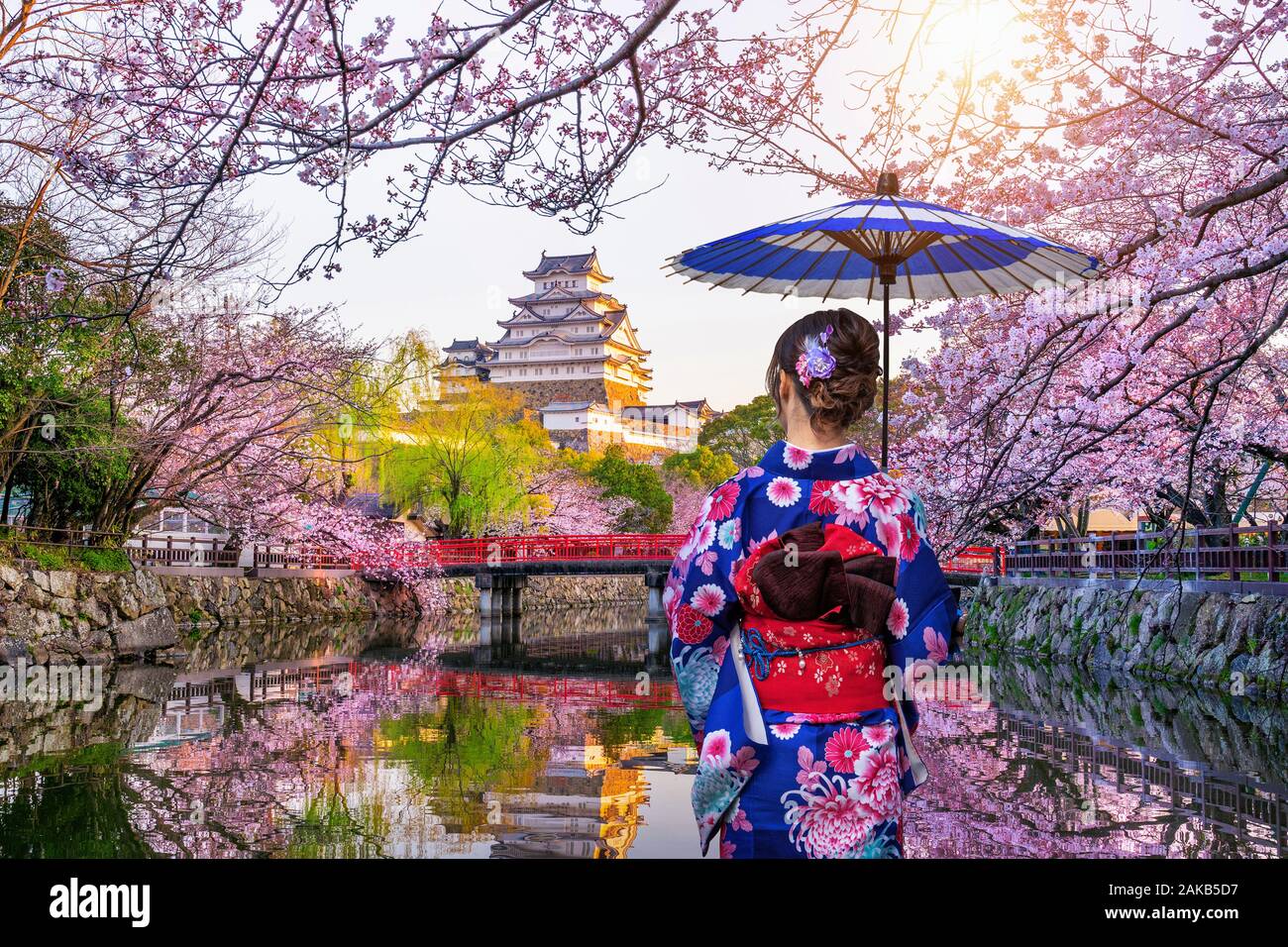 Asian woman wearing japanese traditional kimono looking at cherry