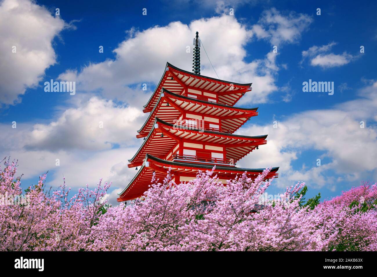 Red pagoda and cherry blossoms in spring, Japan Stock Photo Alamy