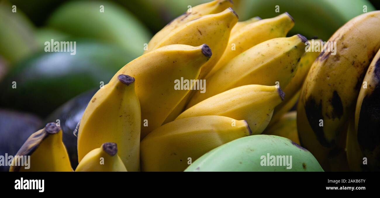 Close-up of bananas and fruits at market, La Digue, Seychelles Stock Photo