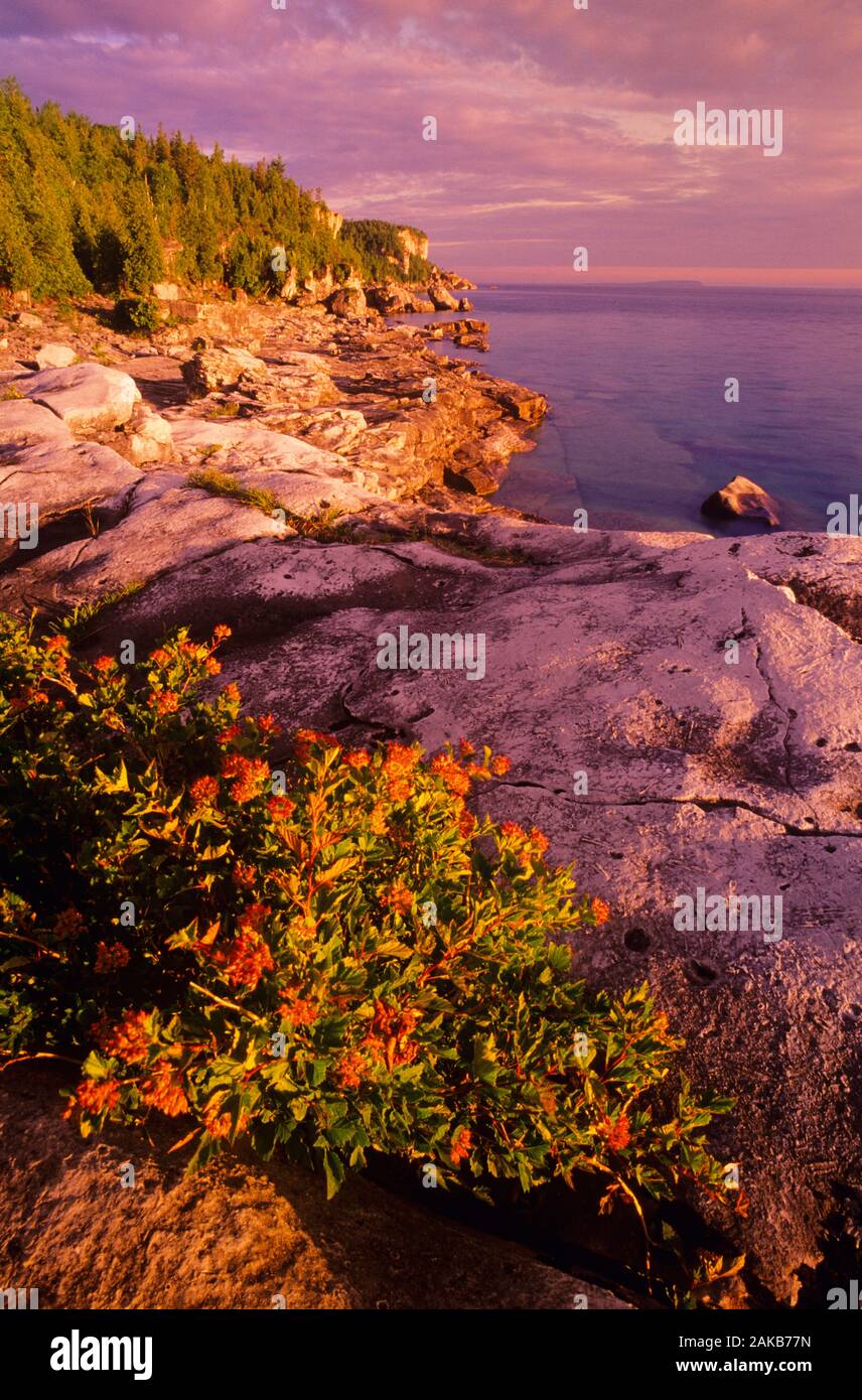 Landscape with rocky coastline and lake at sunset, Bruce Peninsula National Park, Ontario, Canada Stock Photo