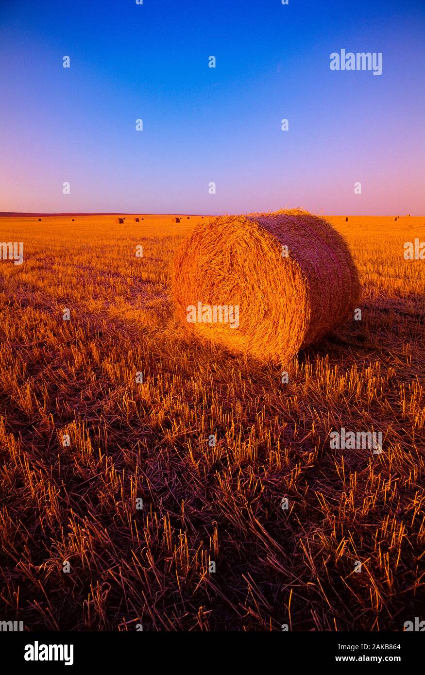 Countryside landscape with hay bale in field, Drumheller, Alberta, Canada Stock Photo