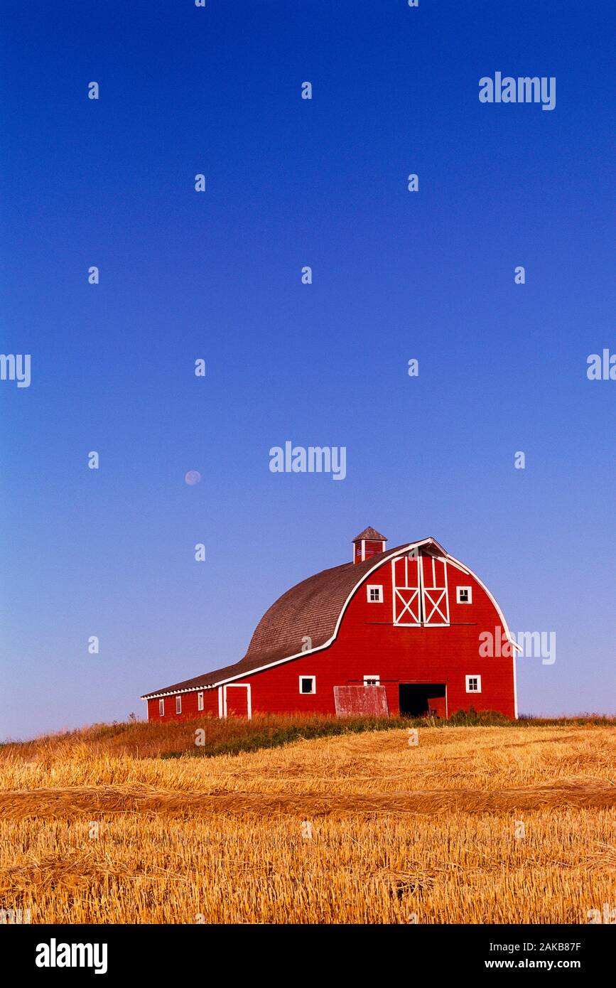 Countryside landscape with red barn and field, Ferintosh, Alberta, Canada Stock Photo
