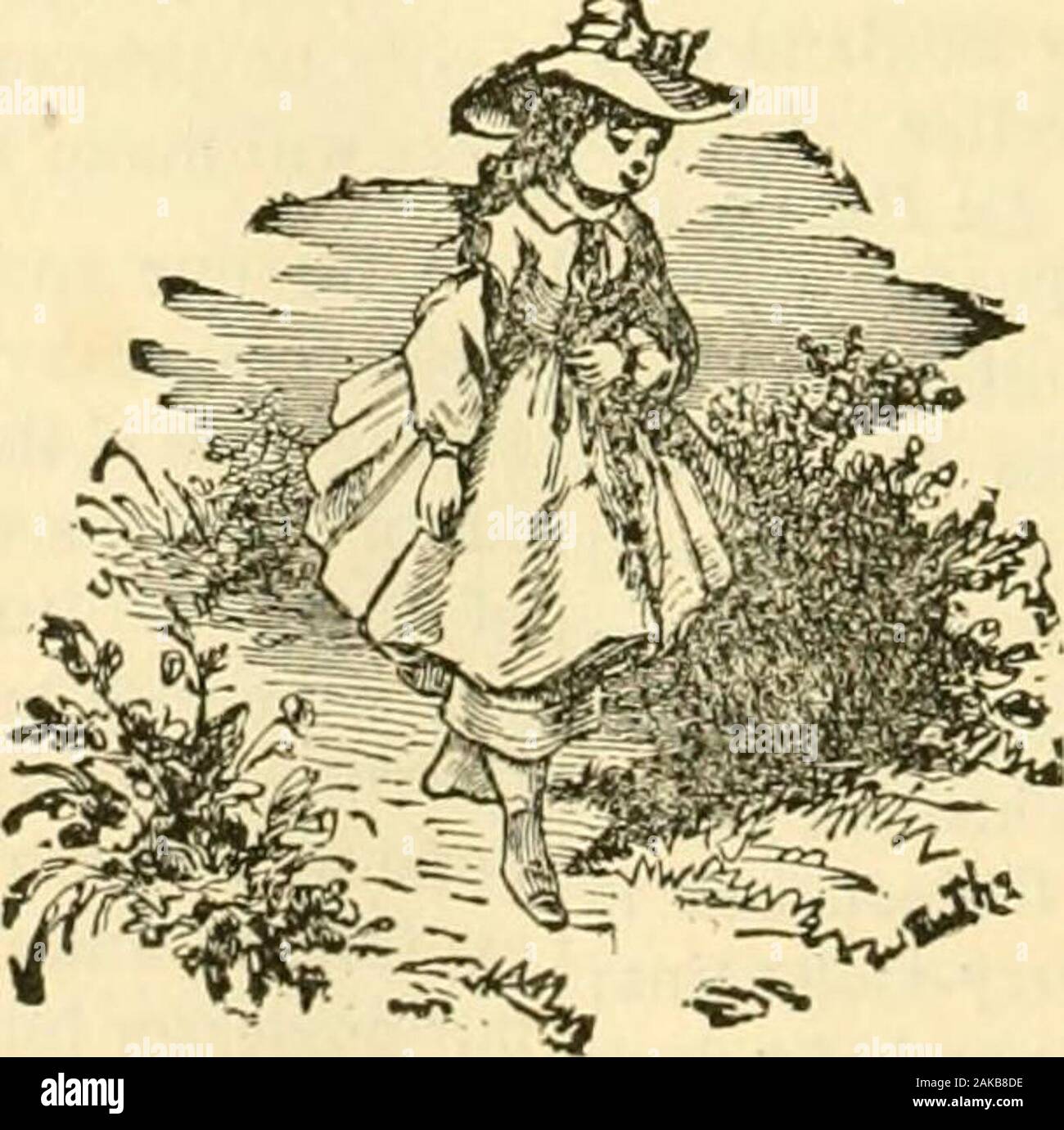 Shellacvarnish hires stock photography and images Alamy