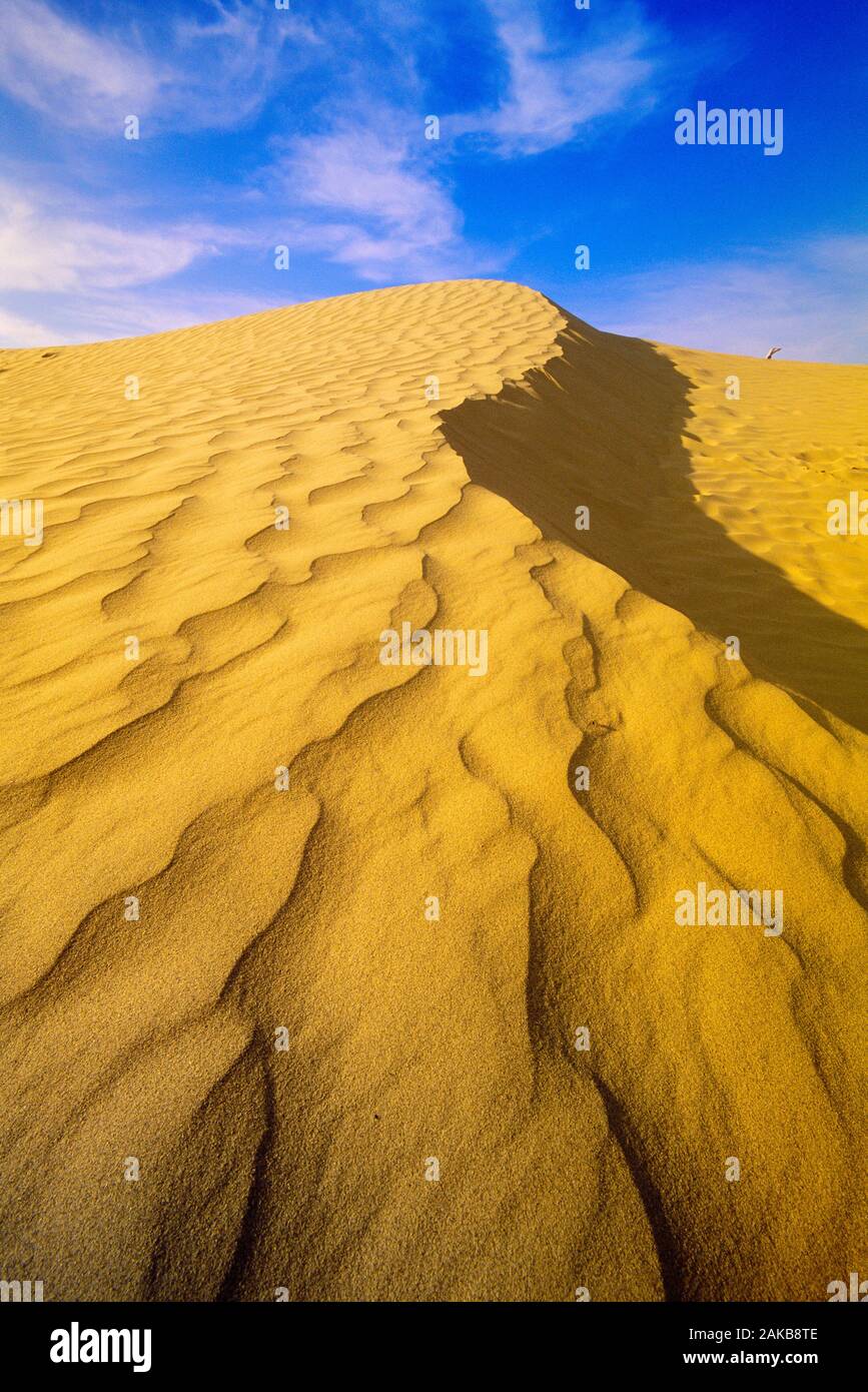 Landscape with sand dune, Great Sand Hills, Saskatchewan, Canada Stock Photo