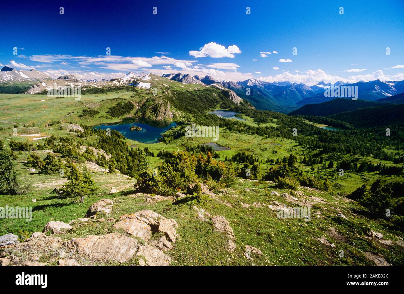 Landscape with view of Sunshine Meadows, Mount Assiniboine Provincial Park, British Columbia, Canada Stock Photo
