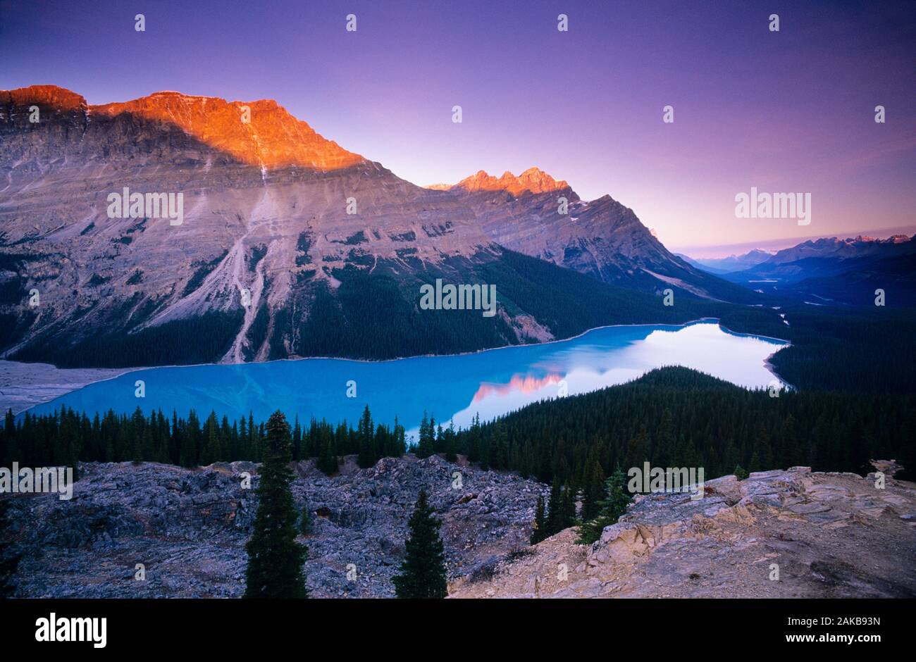 Landscape with Peyto Lake and Canadian Rocky Mountains at sunset, Banff ...
