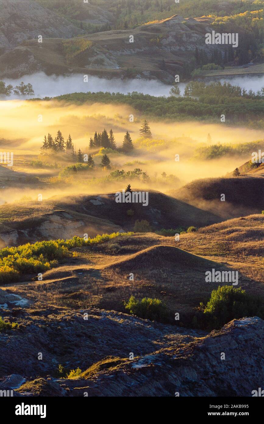 Landscape with hills, fog and river at sunrise, Dry Island Buffalo Jump Provincial Park, Alberta, Canada Stock Photo