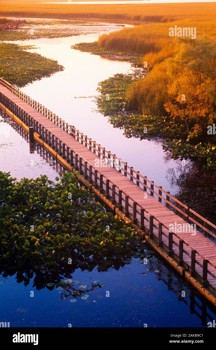 Landscape with boardwalk over marsh, Point Pelee National Park, Ontario, Canada Stock Photo