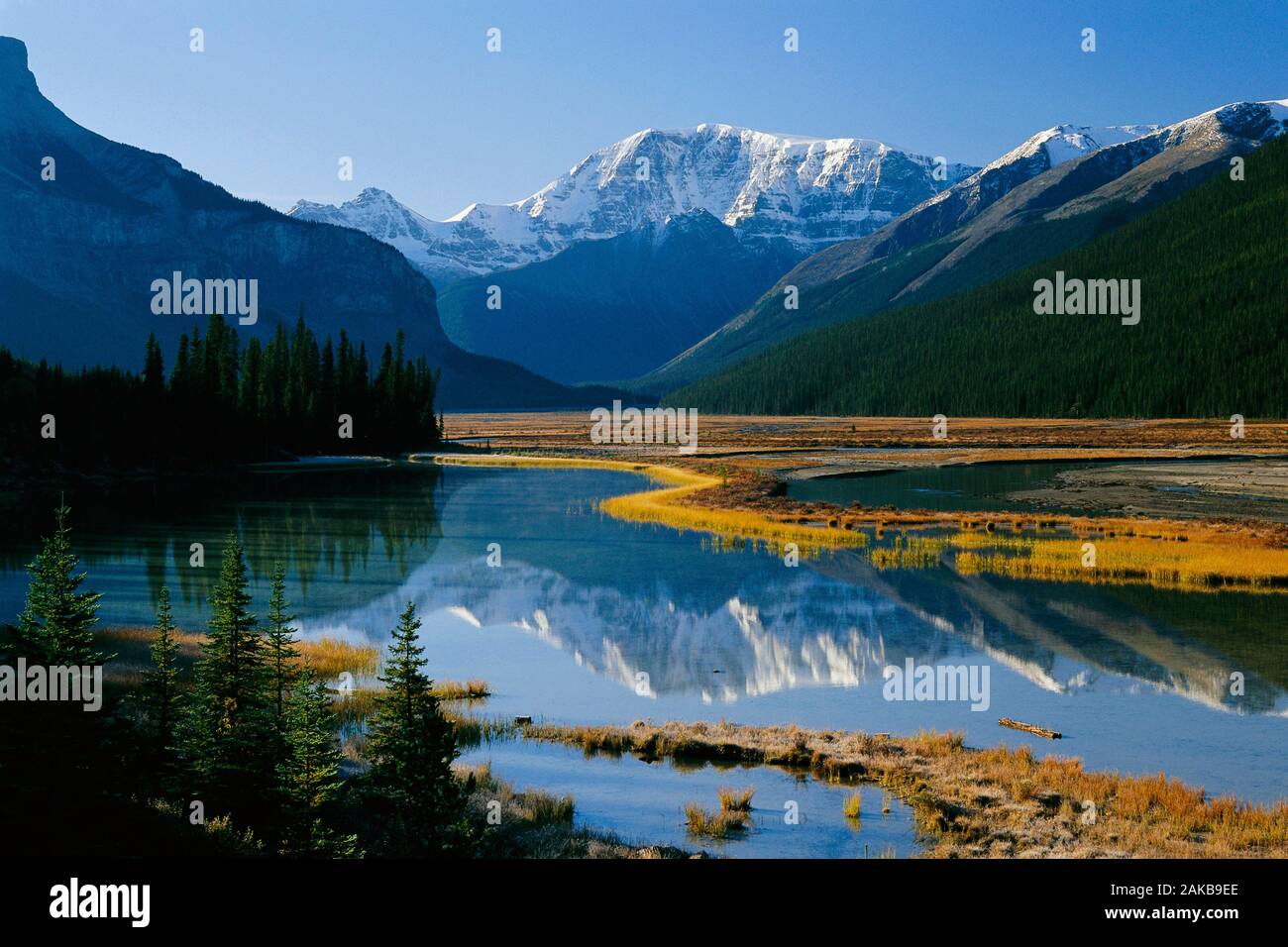 Mount Kitchener, Jasper National Park, Alberta, Canada Stock Photo