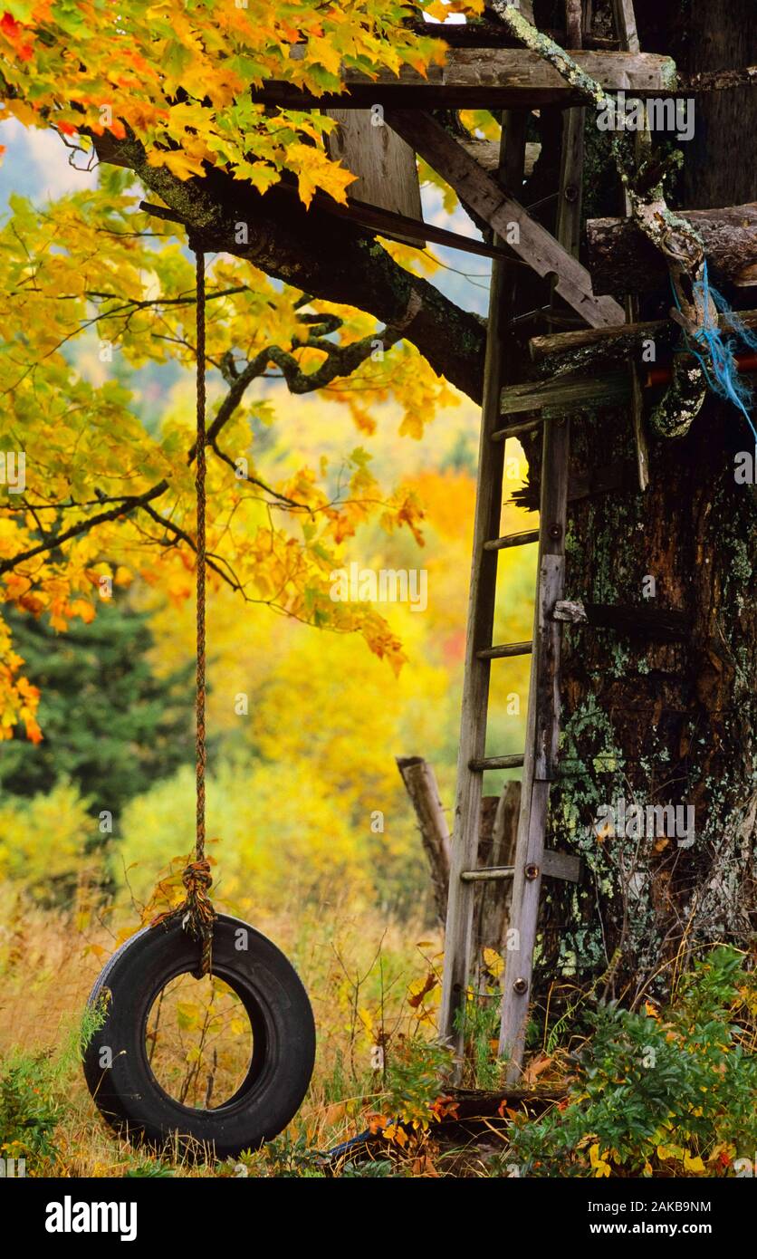 Tree house and tire swing hanging from branch in autumn Stock Photo