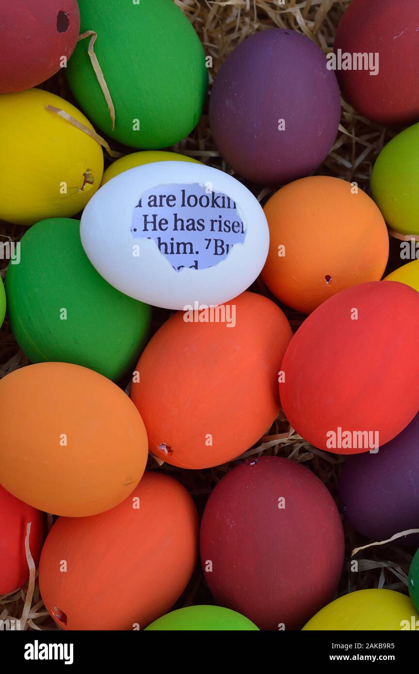 bright white egg with broken shell and the bible passage HE HAS RISEN inside between many multicolored Easter eggs Stock Photo