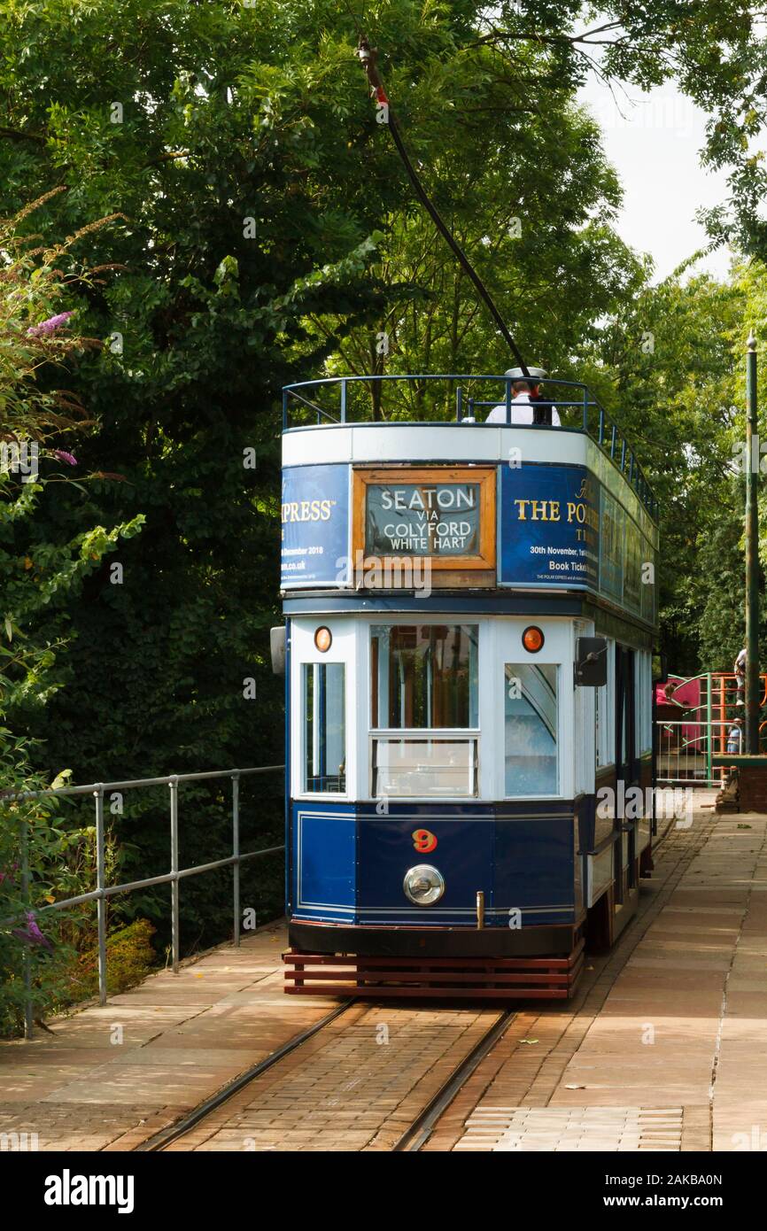 Historic open top electric tram at Colyford village station in the Axe Valley Dorset Stock Photo