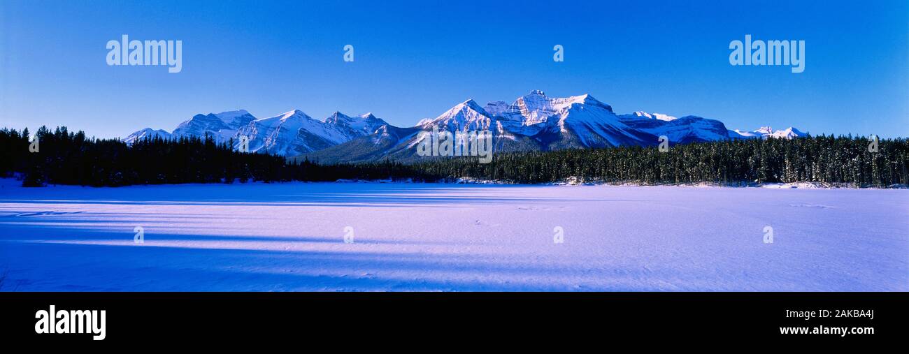 View of forest and mountain in winter, Banff National Park, Alberta, Canada Stock Photo