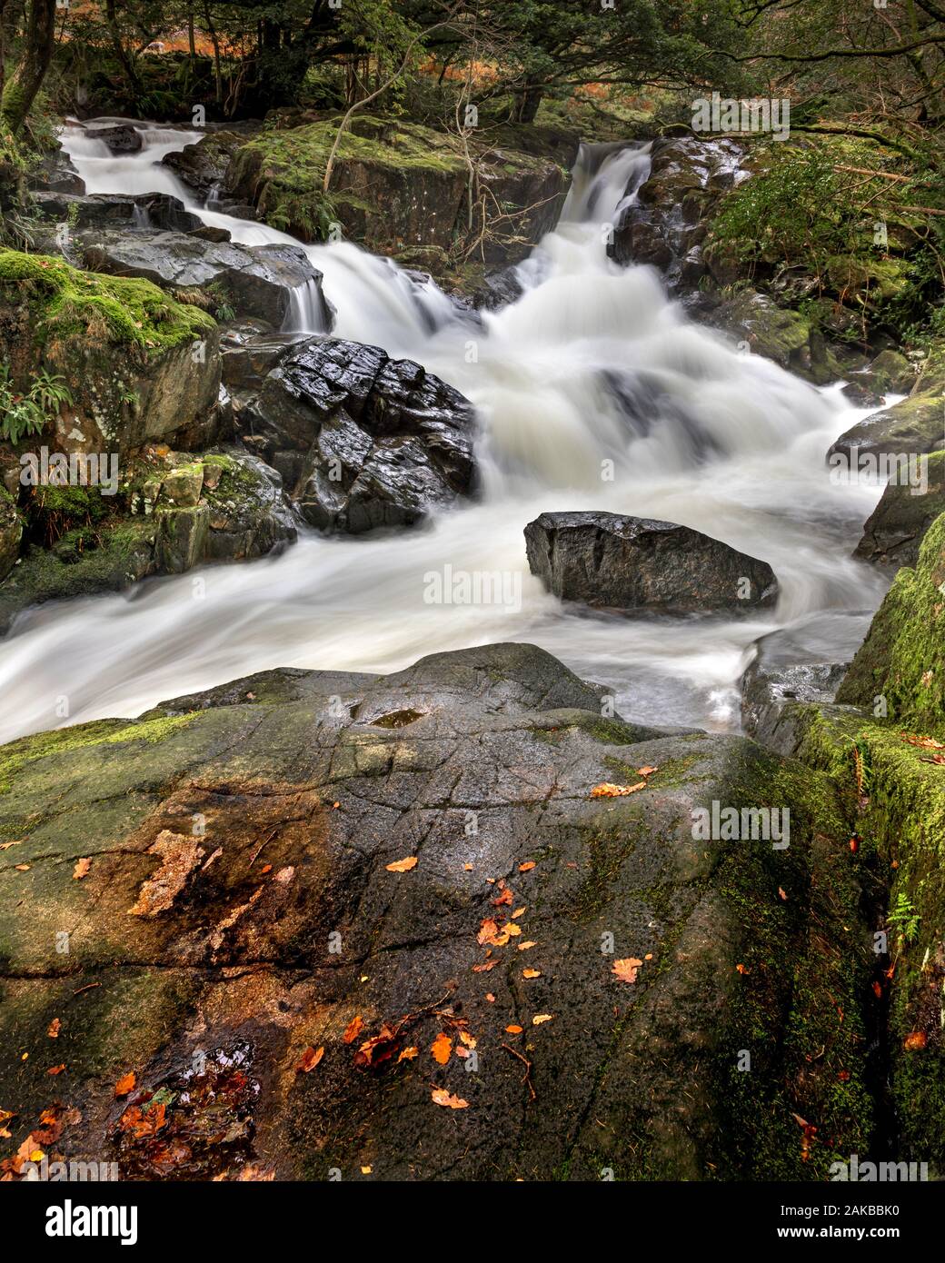 Waterfalls of Whillan Beck near Eskdale Mill, Boot in Cumbria Stock ...