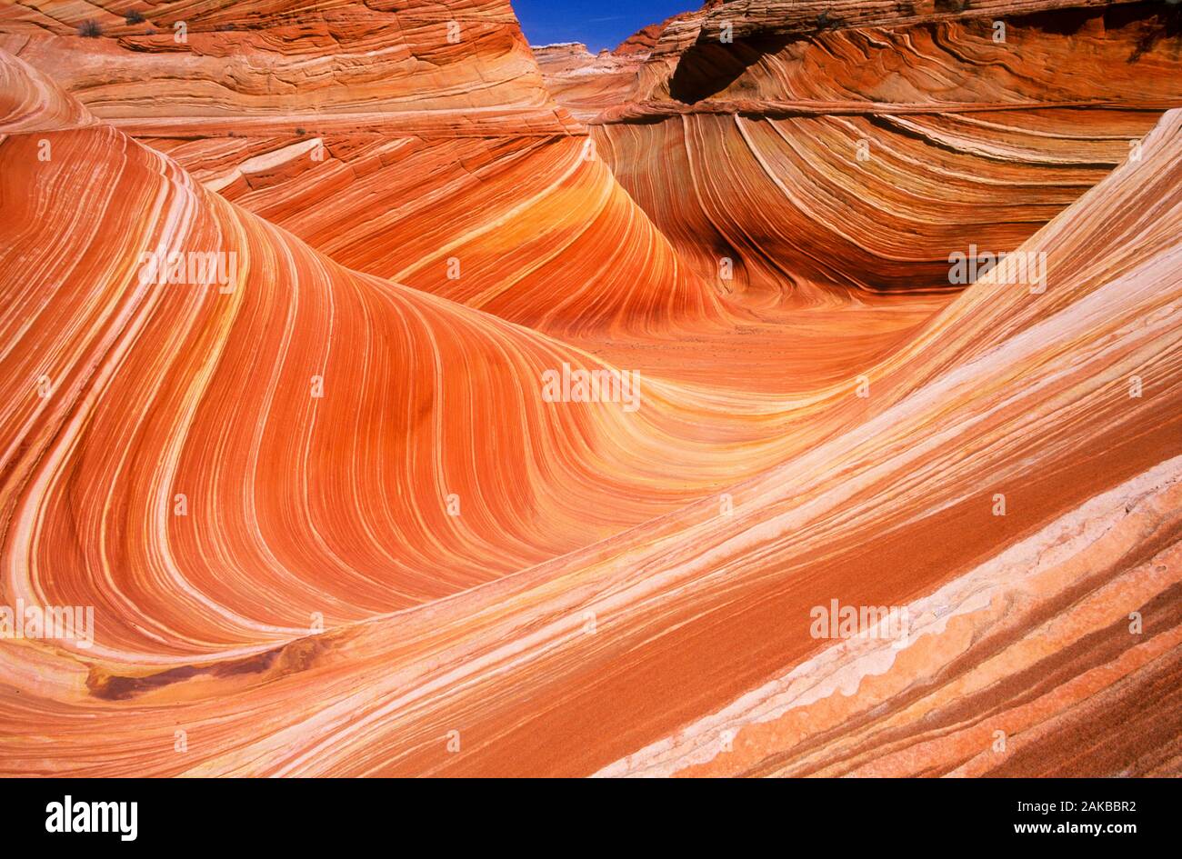 Landscape with smooth rock formations in desert, Paria Canyon-Vermilion Cliffs Wilderness Area, Arizona, USA Stock Photo