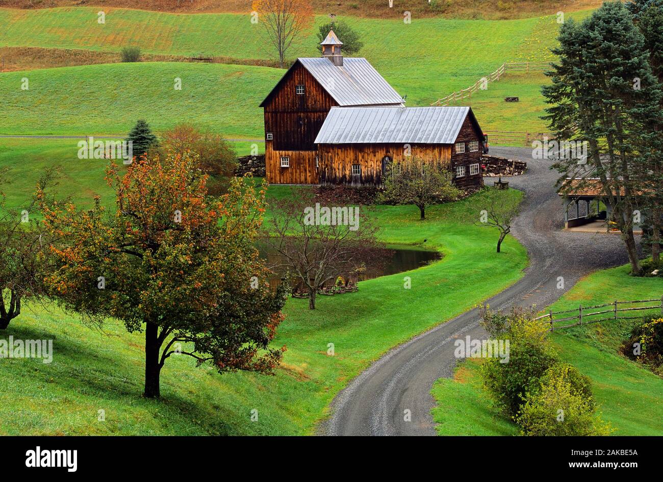 Country road at autumn, Woodstock, Vermont, USA Stock Photo