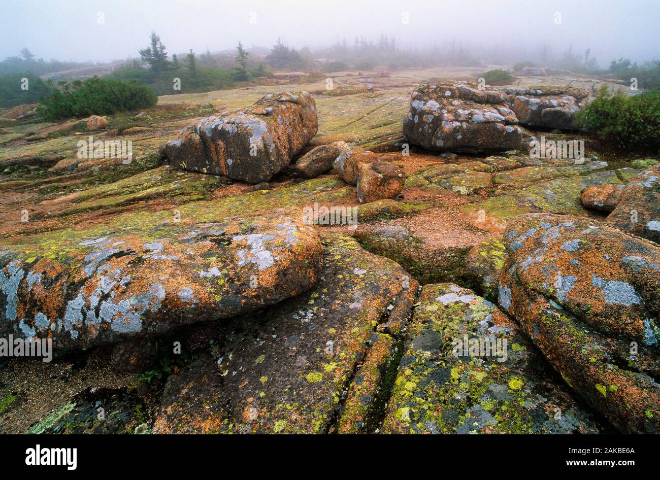 View of rocks, Cadillac Mountain, Acadia National Park, Maine, USA ...