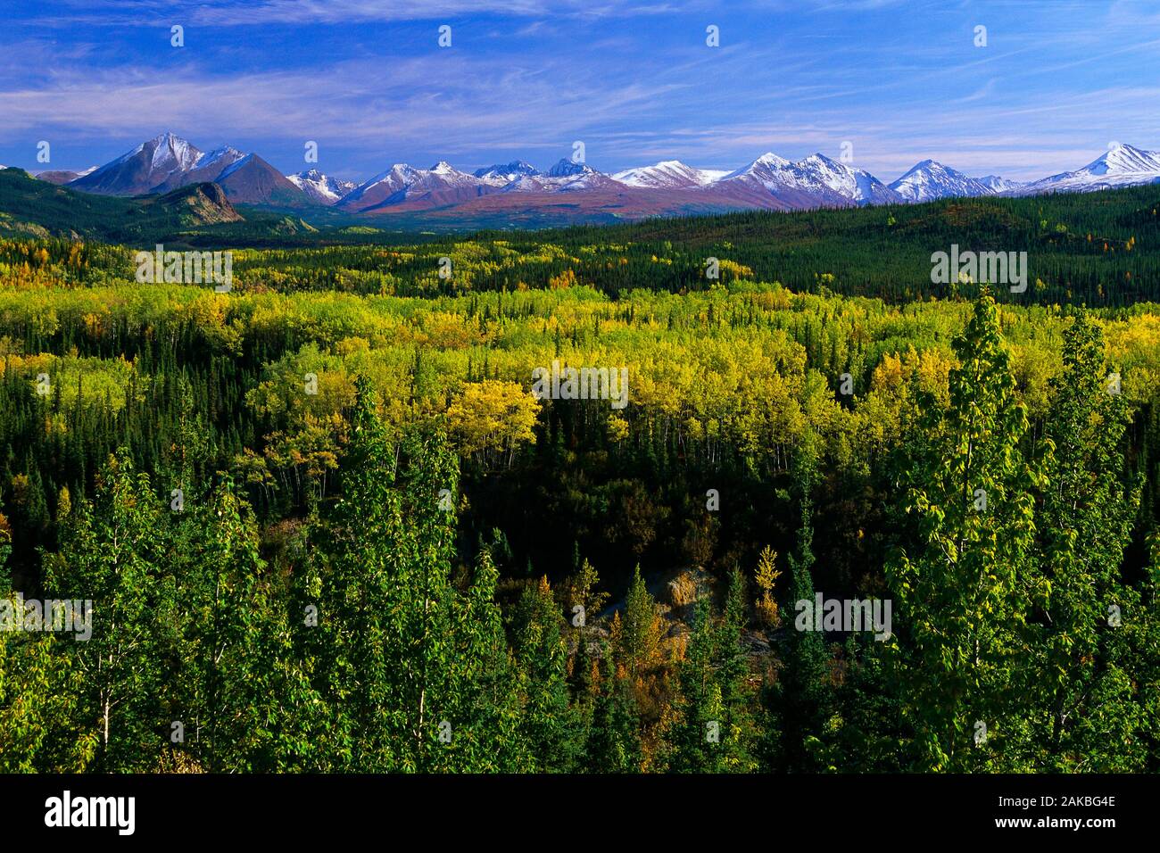 Meadow and Chugach Mountains, Alaska, USA Stock Photo