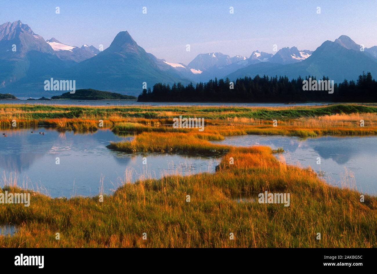 Tidal flat and mountains, Valdez, Alaska, USA Stock Photo