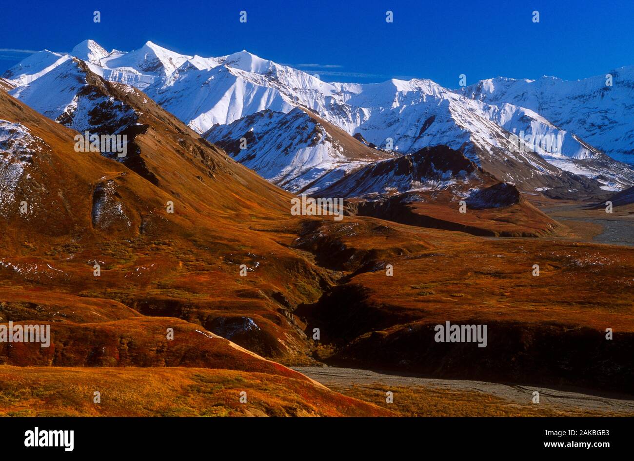 Landscape with Alaska Range, Denali National Park, Alaska, USA Stock Photo