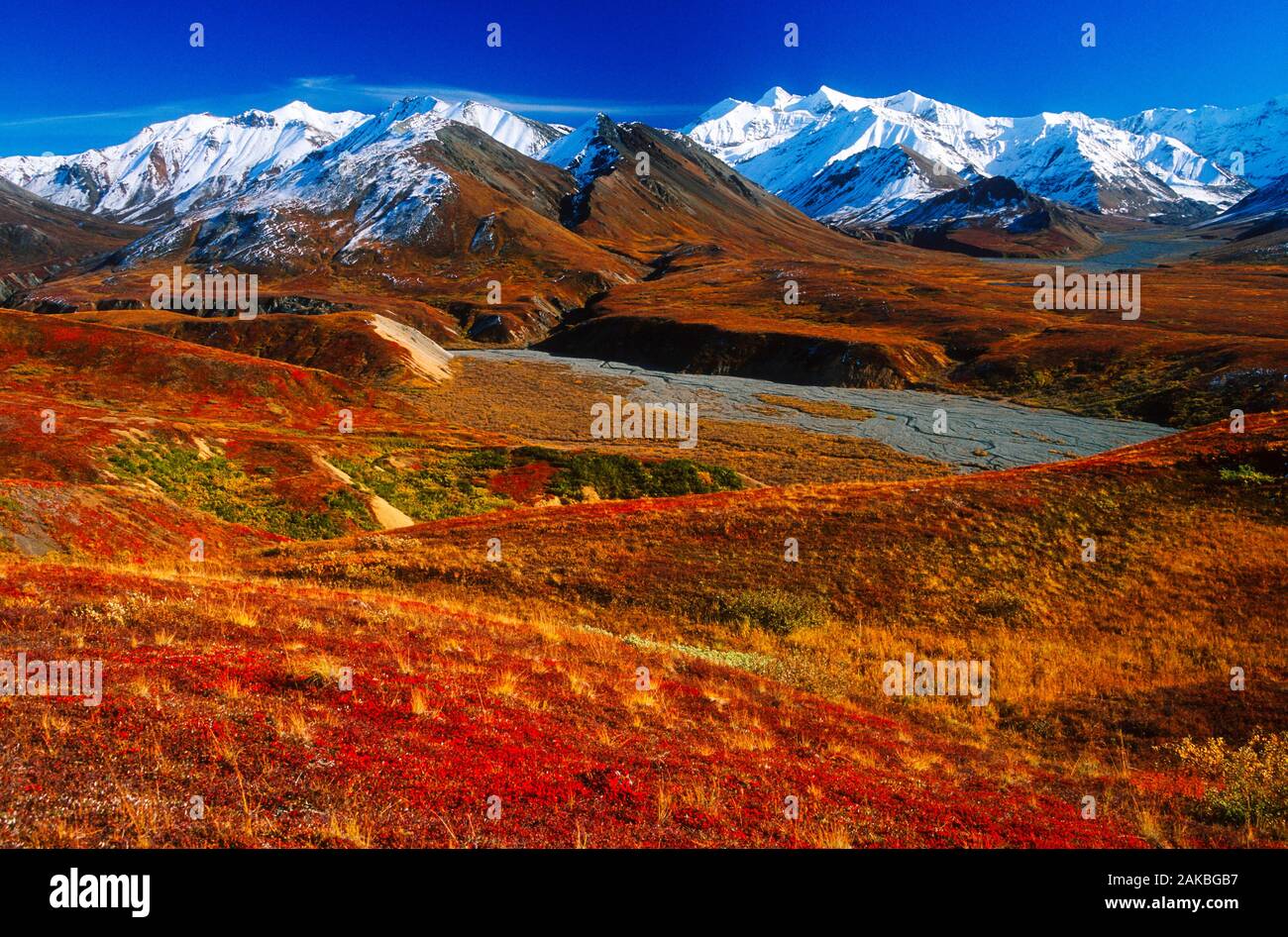 Landscape with Alaska Range, Denali National Park, Alaska, USA Stock Photo