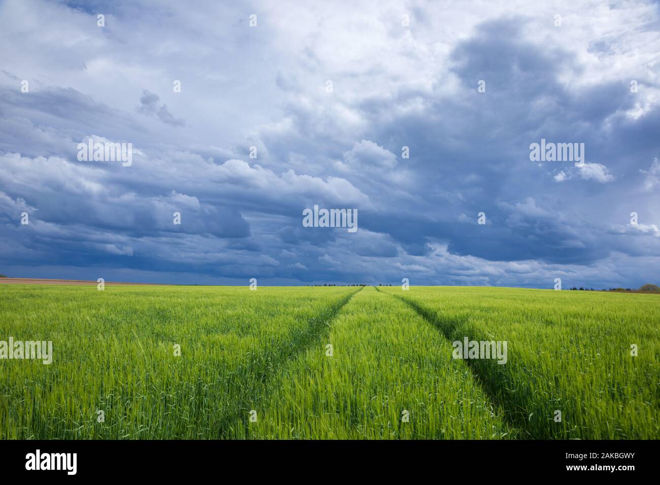 Dark stormy sky over a green field at spring, Bavaria, Germany Stock ...