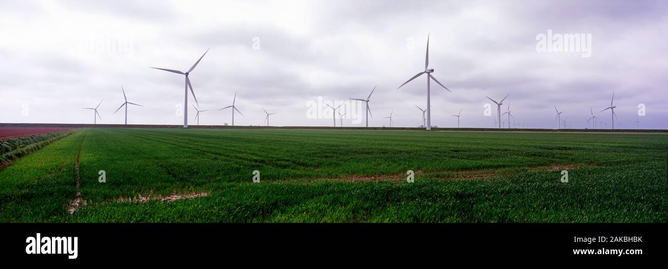 Wind turbines in field near Hamburg, Germany Stock Photo